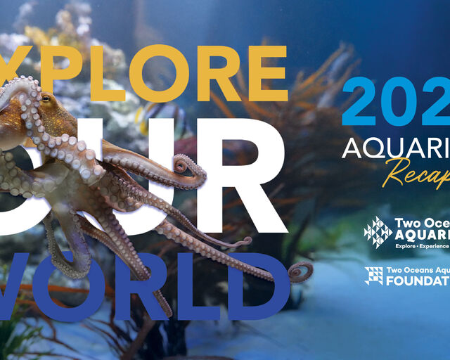 2024 recap: Fabulously fishy moments from the Two Oceans Aquarium