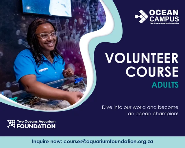 Adult Volunteer Course