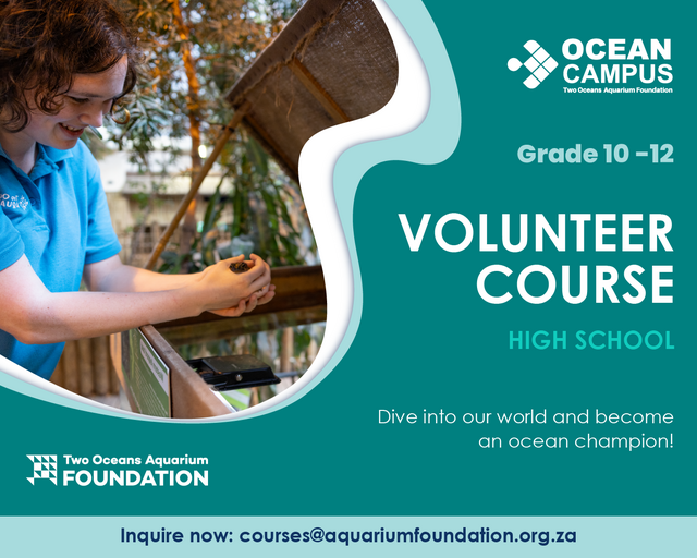 Grades 10 - 12 Volunteer Course