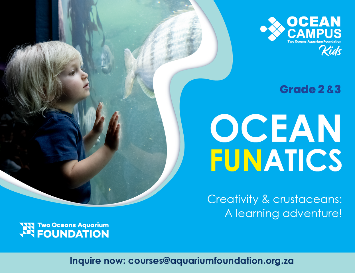 Grade 2 - 3 Ocean Funatics Course