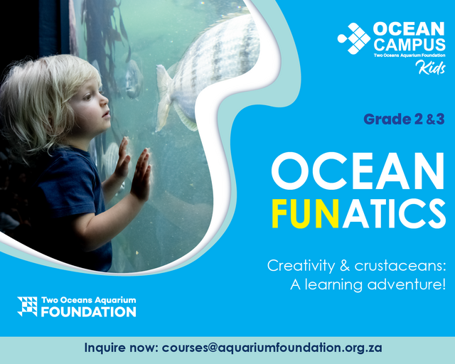 Grade 2 - 3 Ocean Funatics Course