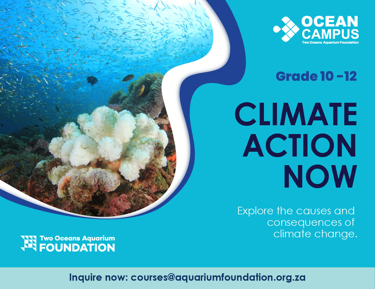 Grade 10 - 12 Climate Action Now course