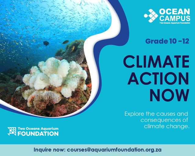 Grade 10 - 12 Climate Action Now course