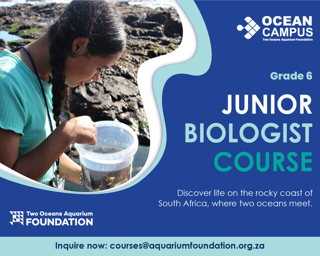 Grade 6 Junior Biologist Course
