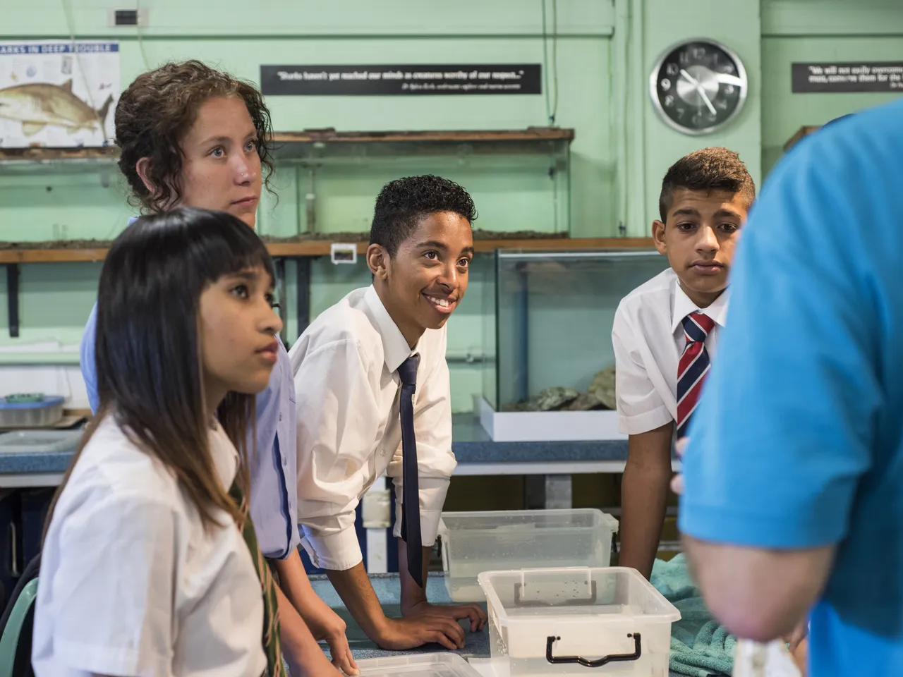 Classes at the Aquarium
