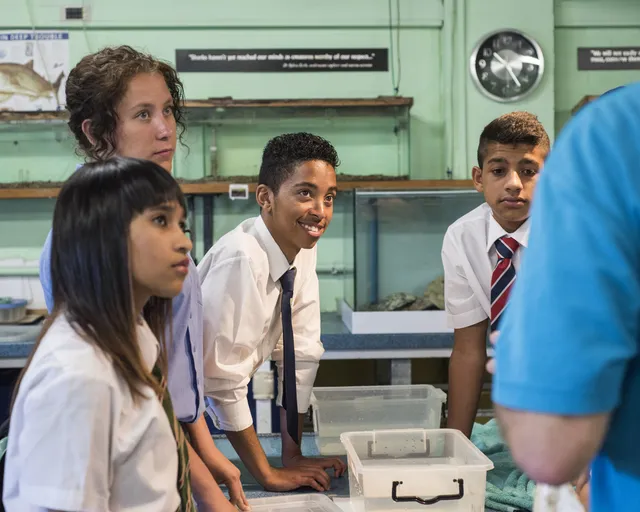 Classes at the Aquarium