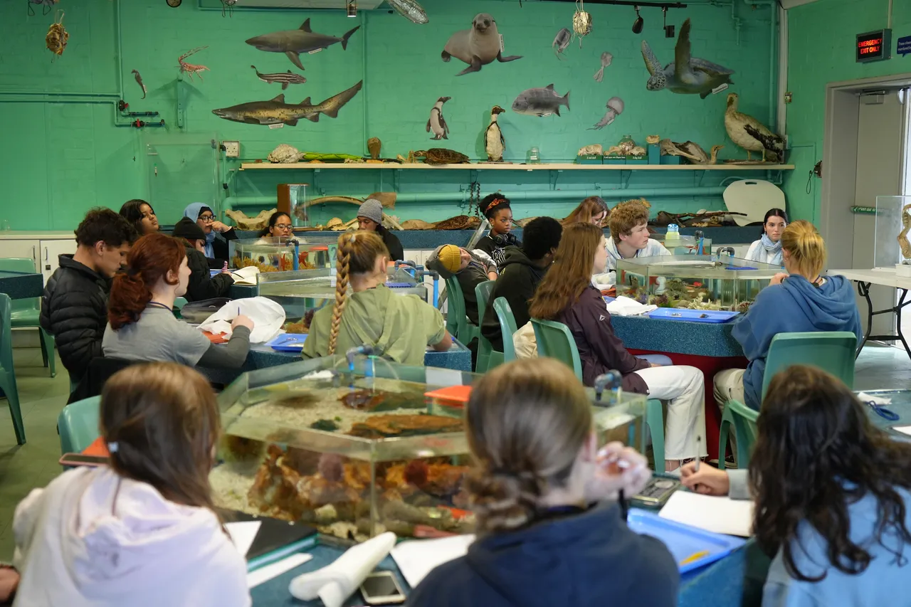 A group of Young Biologists at their lesson