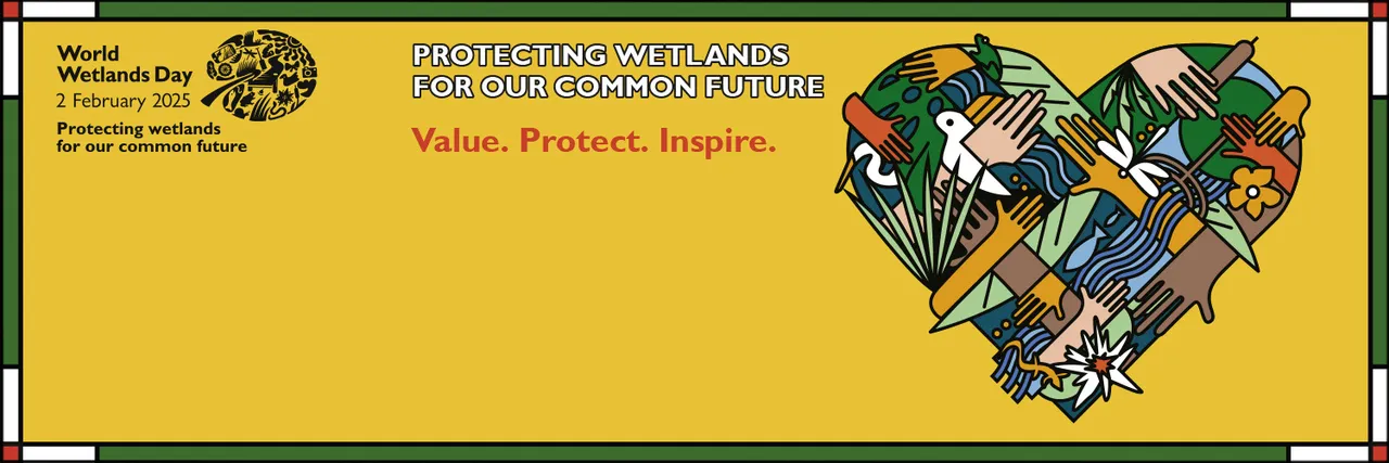 World wetlands day: 11 reasons why wetlands are vital for humans and animals