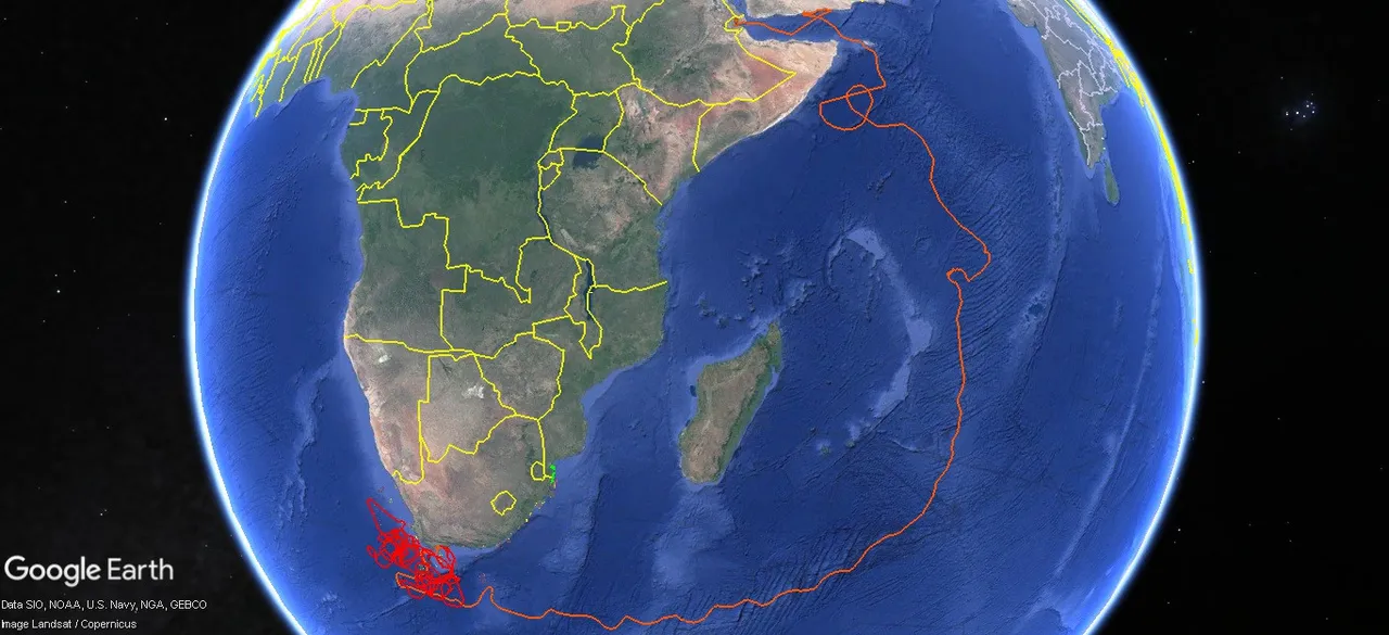 Tracking our Turtles: The first update of 2025