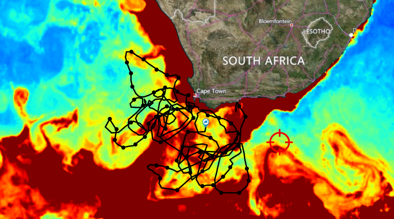 Nobomvu productivity