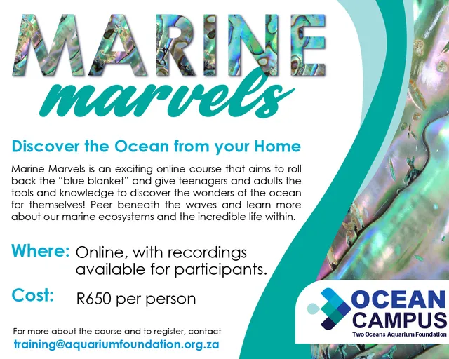 Marine Marvels Virtual Course