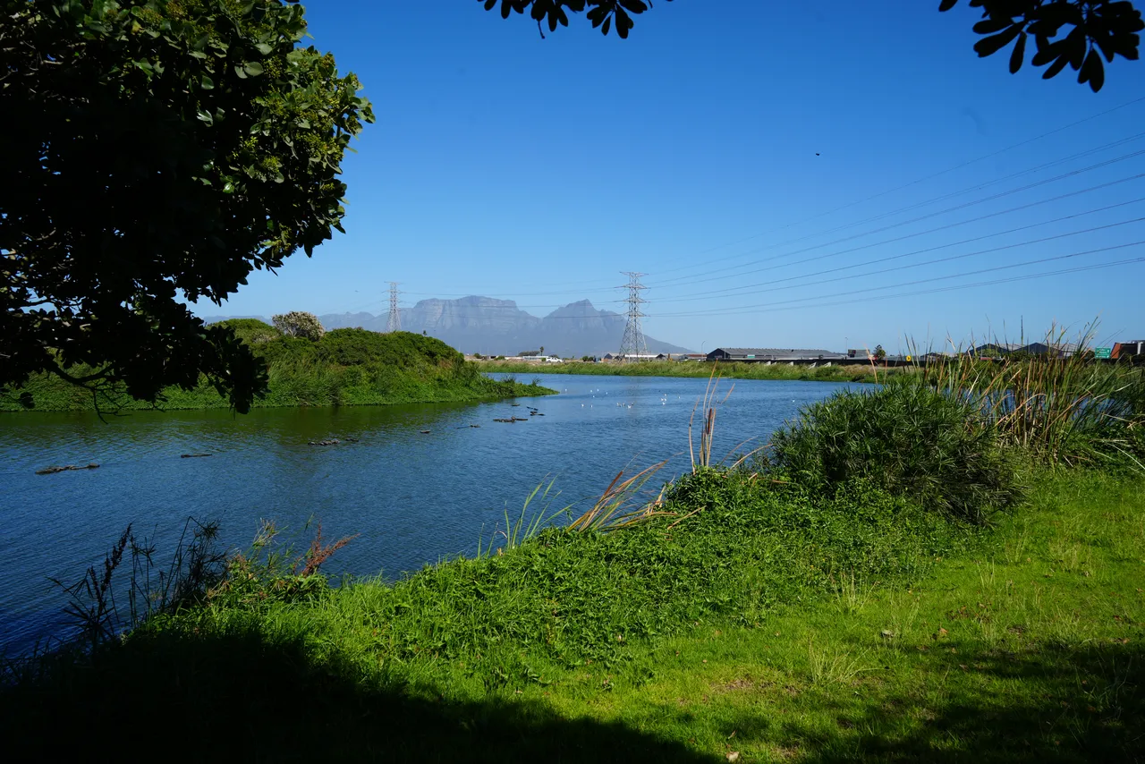 Ocean Campus celebrated World Wetlands Day with our outreach team