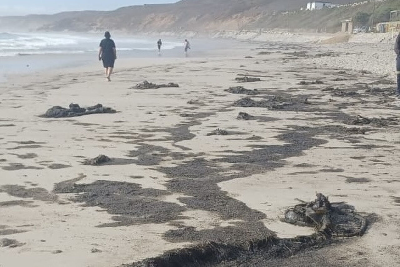 2c9c89dd fa07 48a4 8333 419da10ae692