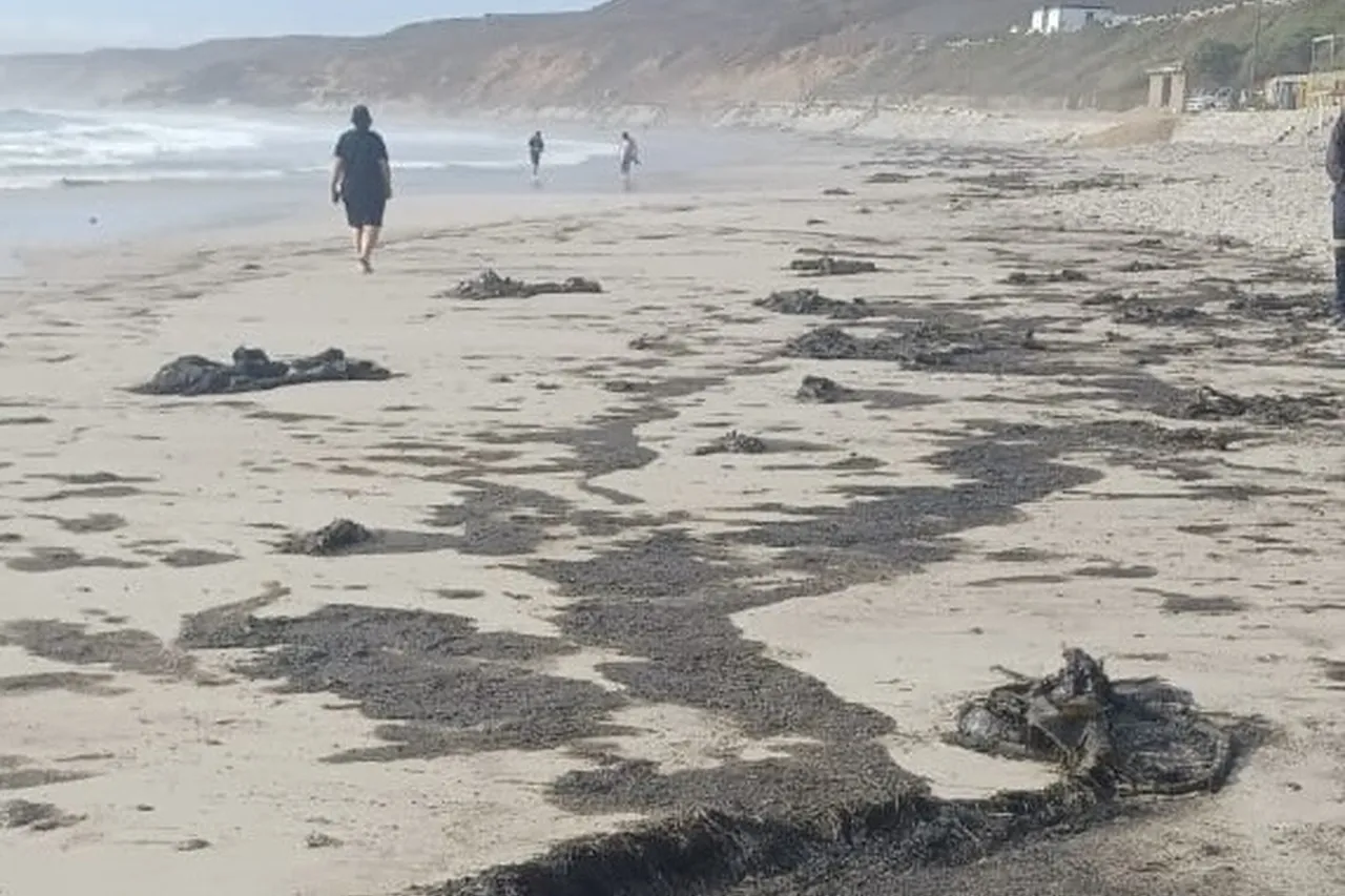 2c9c89dd fa07 48a4 8333 419da10ae692