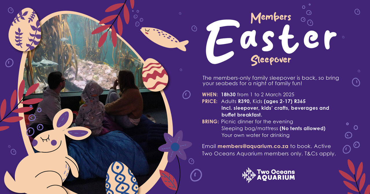 EASTERSLEEPOVER TOA 2025 SOCIAL RECTANGLE