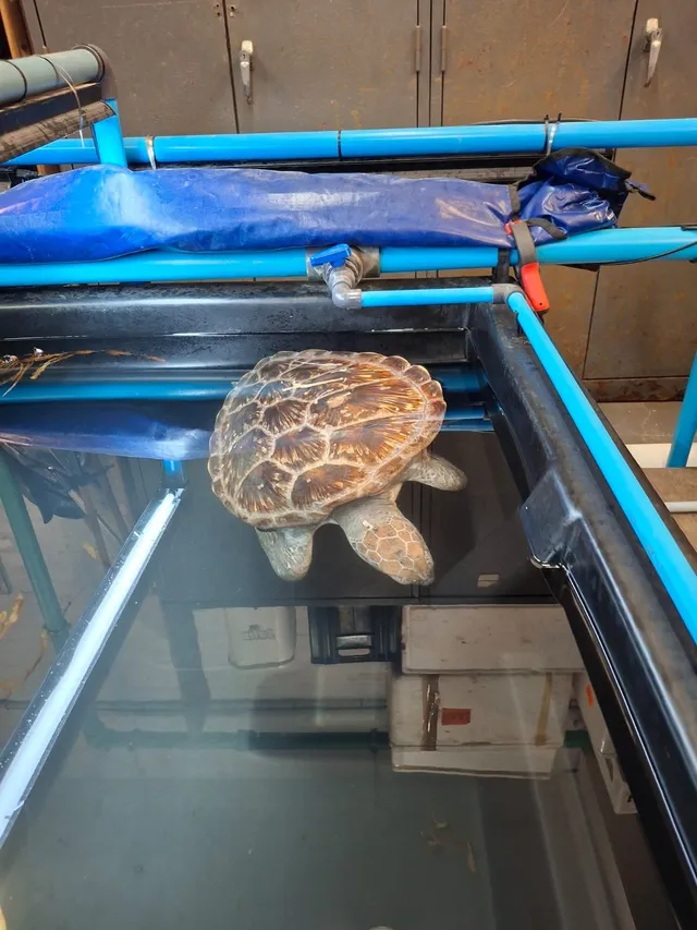 Cb385516 2b67 4e23 95e8 4d9b4ee65328