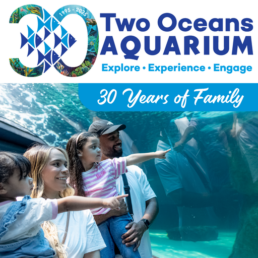 The Two Oceans Aquarium is celebrating its 30th birthday this year!