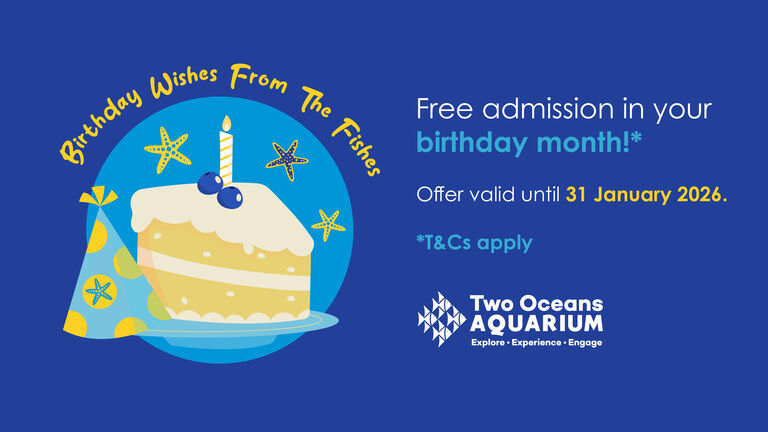 The Two Oceans Aquarium is celebrating its 30th birthday this year!