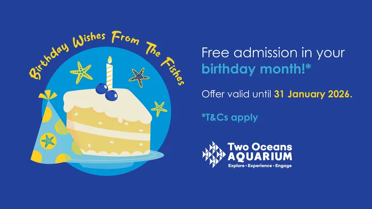 The Two Oceans Aquarium is celebrating its 30th birthday!