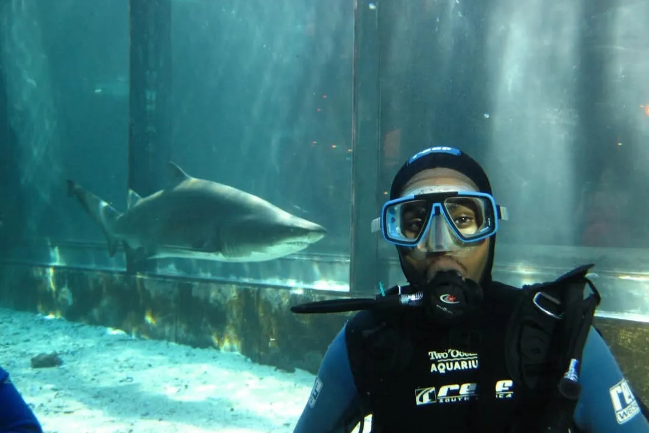 5d22ddbf 1f67 4a9e 9db3 76c90a7f3bb0