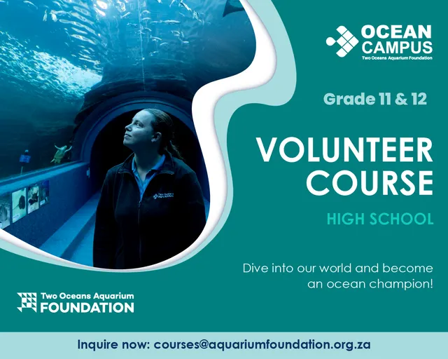 Grades 11 - 12 Volunteer Course