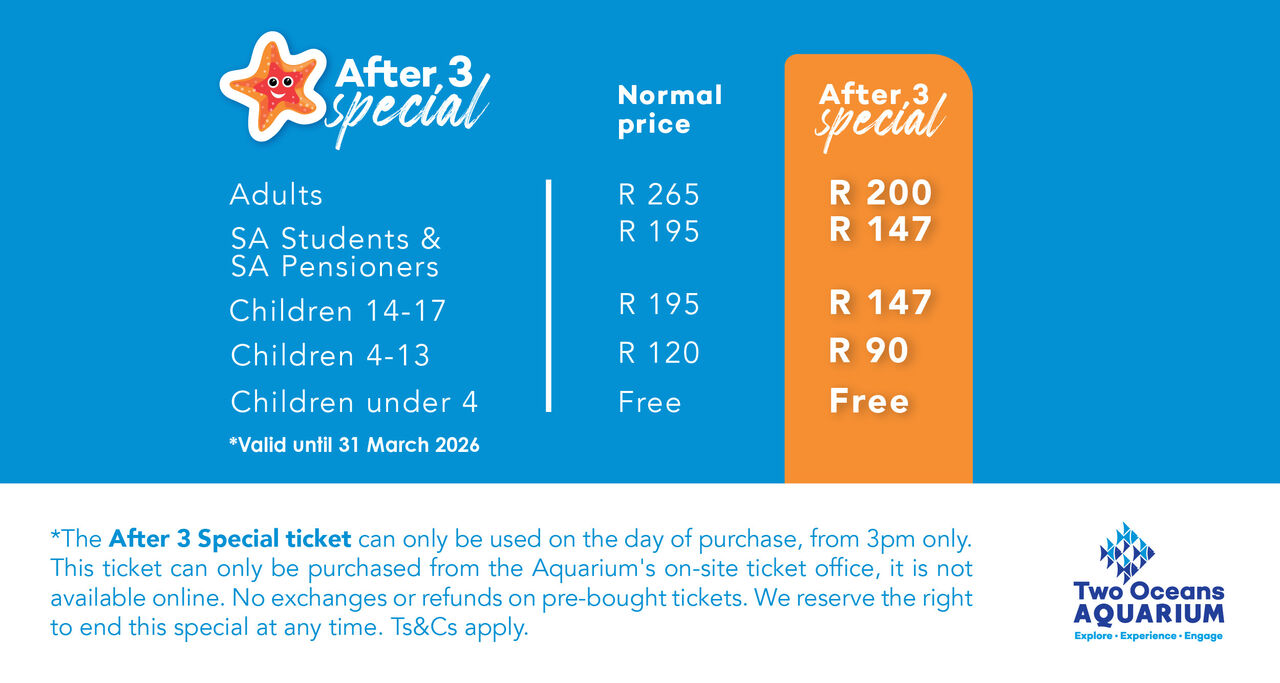 AFTER3 SPECIAL SOCIALS TOA 2025 RECTANGLE
