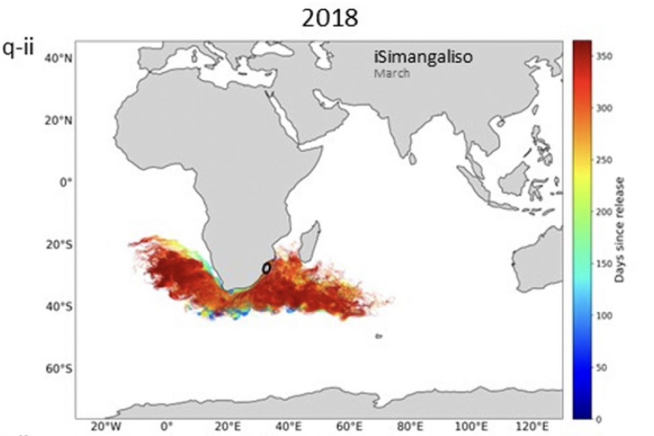 Loggerhead dispersal