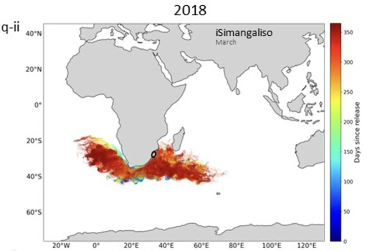 Loggerhead dispersal