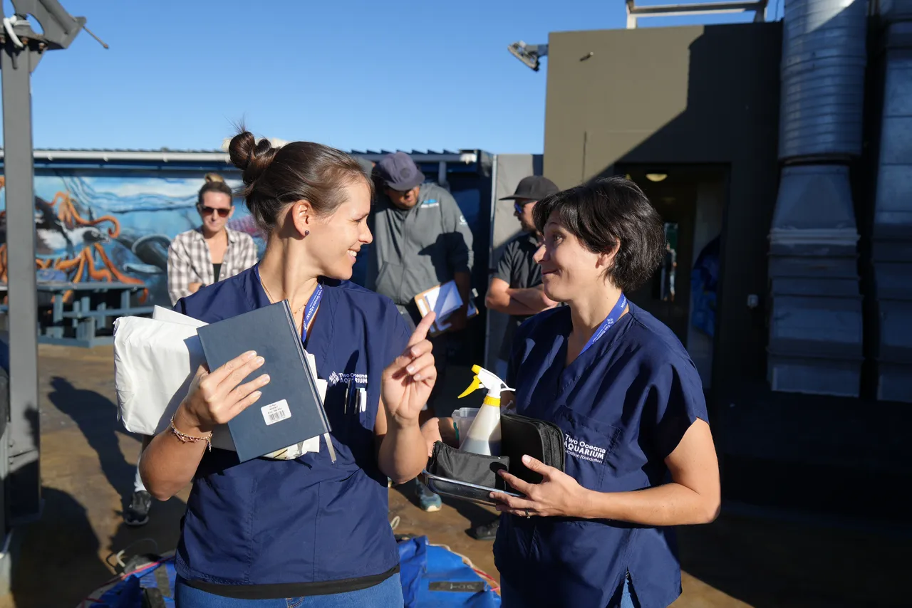 Happy World Veterinary Day: Celebrating our women-led vet team