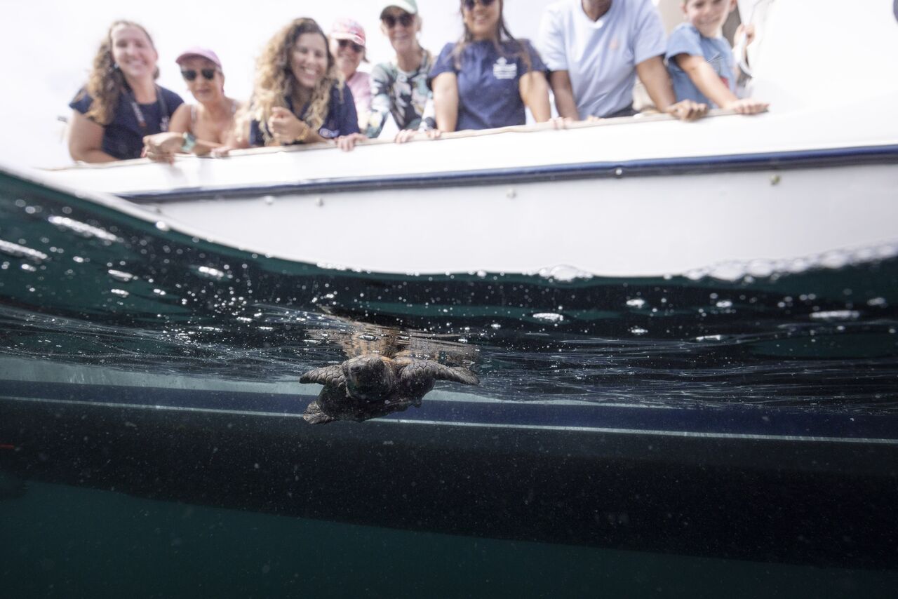 Two Oceans Aquarium Foundation celebrates partnership with Primedia Cares and CapeTalk to Protect Our Ocean Future