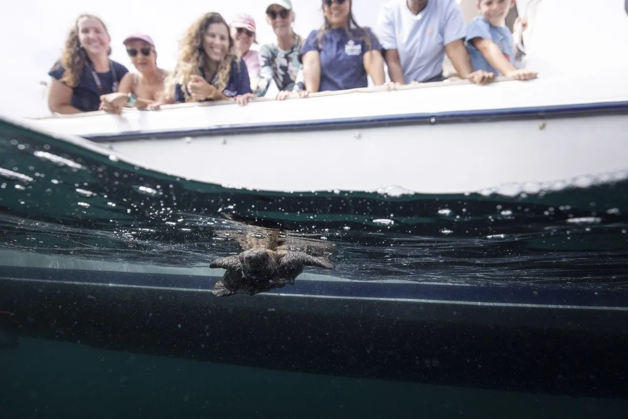 Two Oceans Aquarium Foundation celebrates partnership with Primedia Cares and CapeTalk to Protect Our Ocean Future