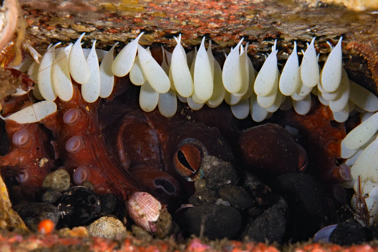 Adobe Stock 380399944