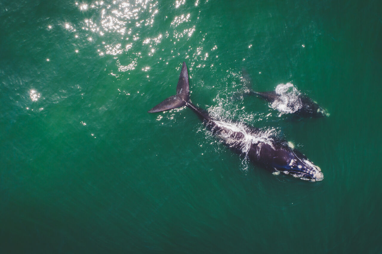 Adobe Stock 214868984