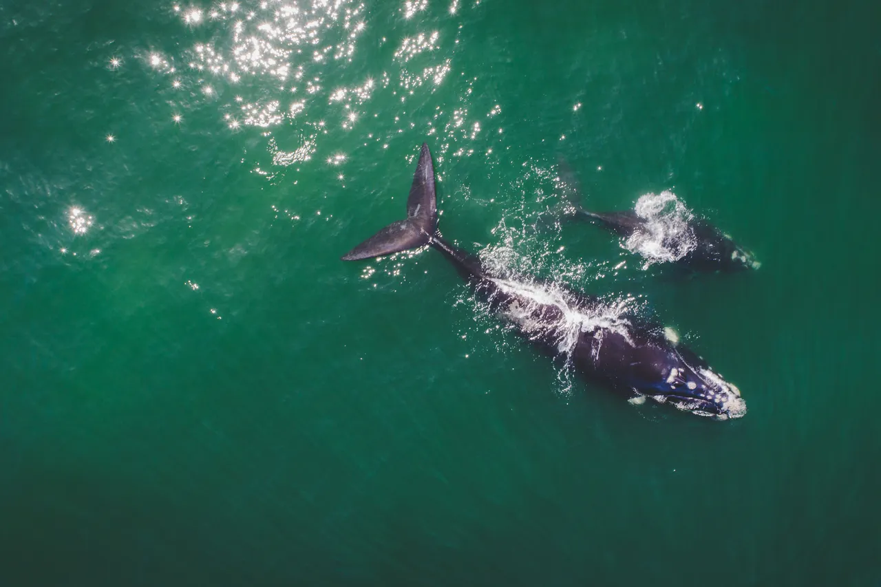 Adobe Stock 214868984