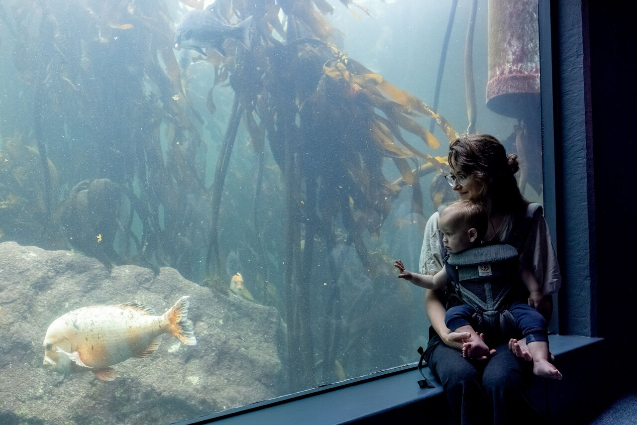 Celebrating marine moms this Mother’s Day!