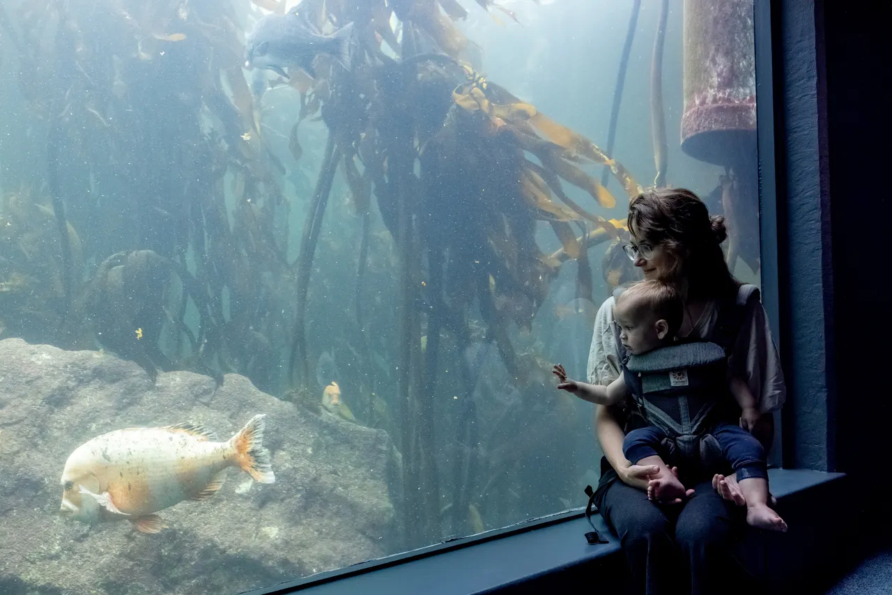 Celebrating marine moms this Mother’s Day!