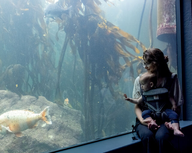 Celebrating marine moms this Mother’s Day!