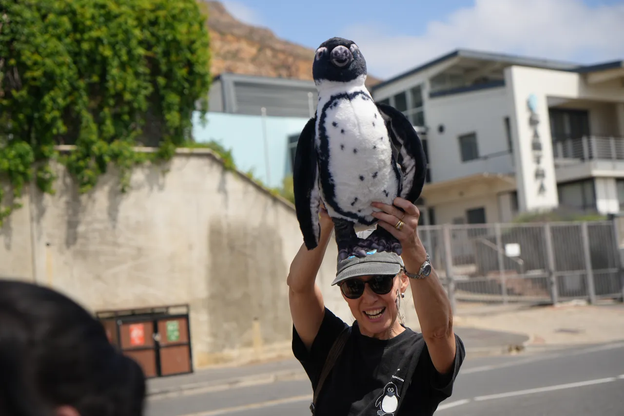 Two Oceans Aquarium Foundation uncovering the keys to saving the sea