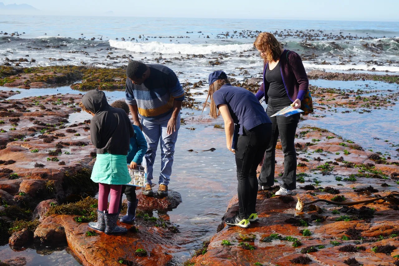 Celebrating our Marine Protected Areas in an ocean of ways!