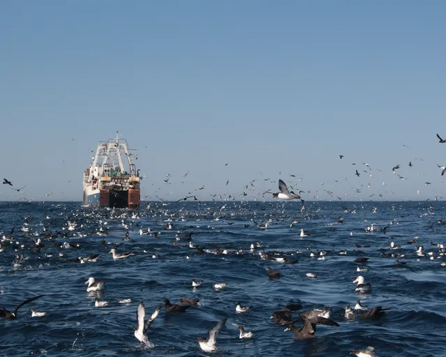 Industrial fishing: Our position statement