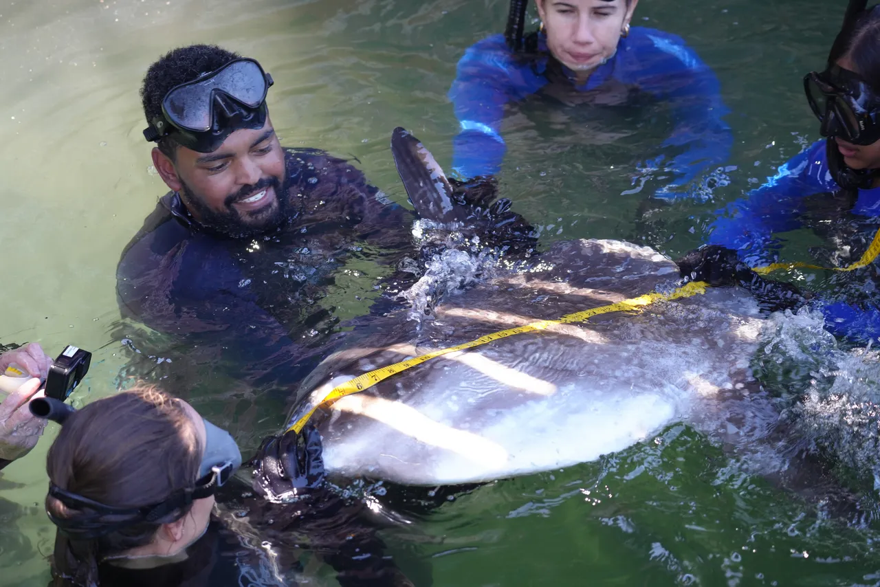 A year in academic excellence: Celebrating research and collaboration at Two Oceans Aquarium