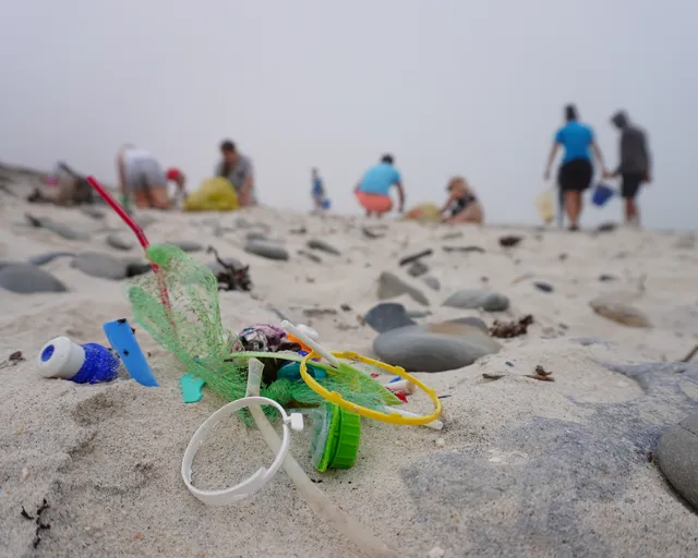 Plastic pollution: Our position statement
