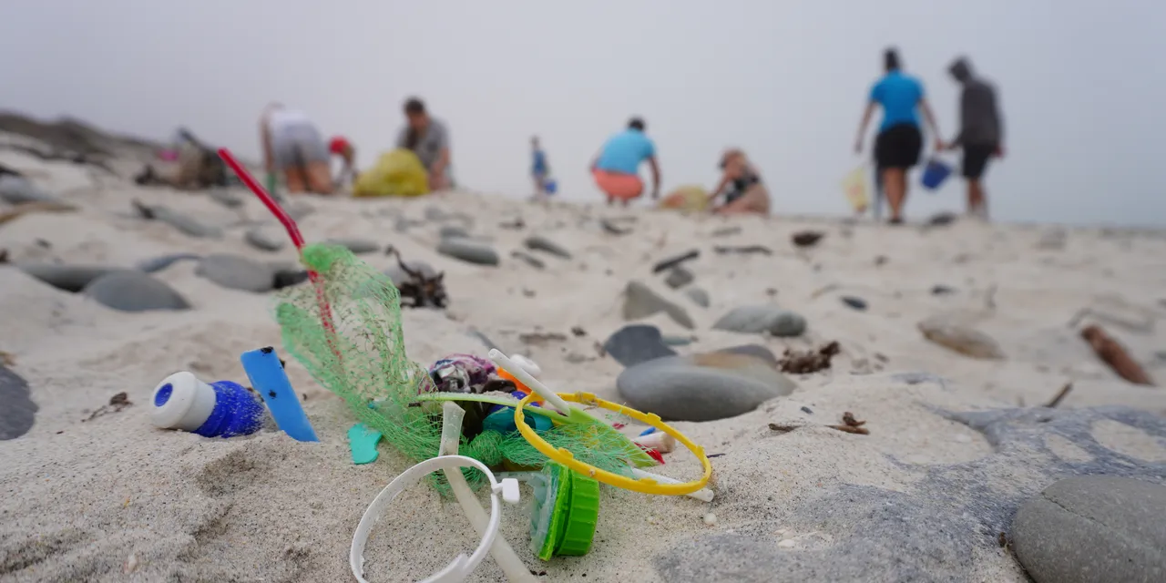 Plastic pollution: Our position statement