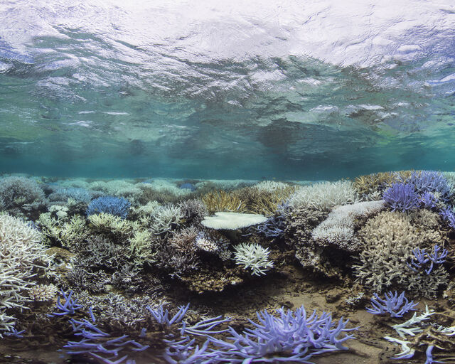 Climate crisis: Our position statement