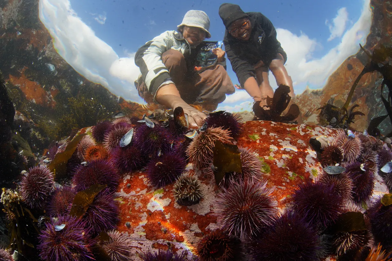 Learn how to protect our blue planet this World Oceans Day