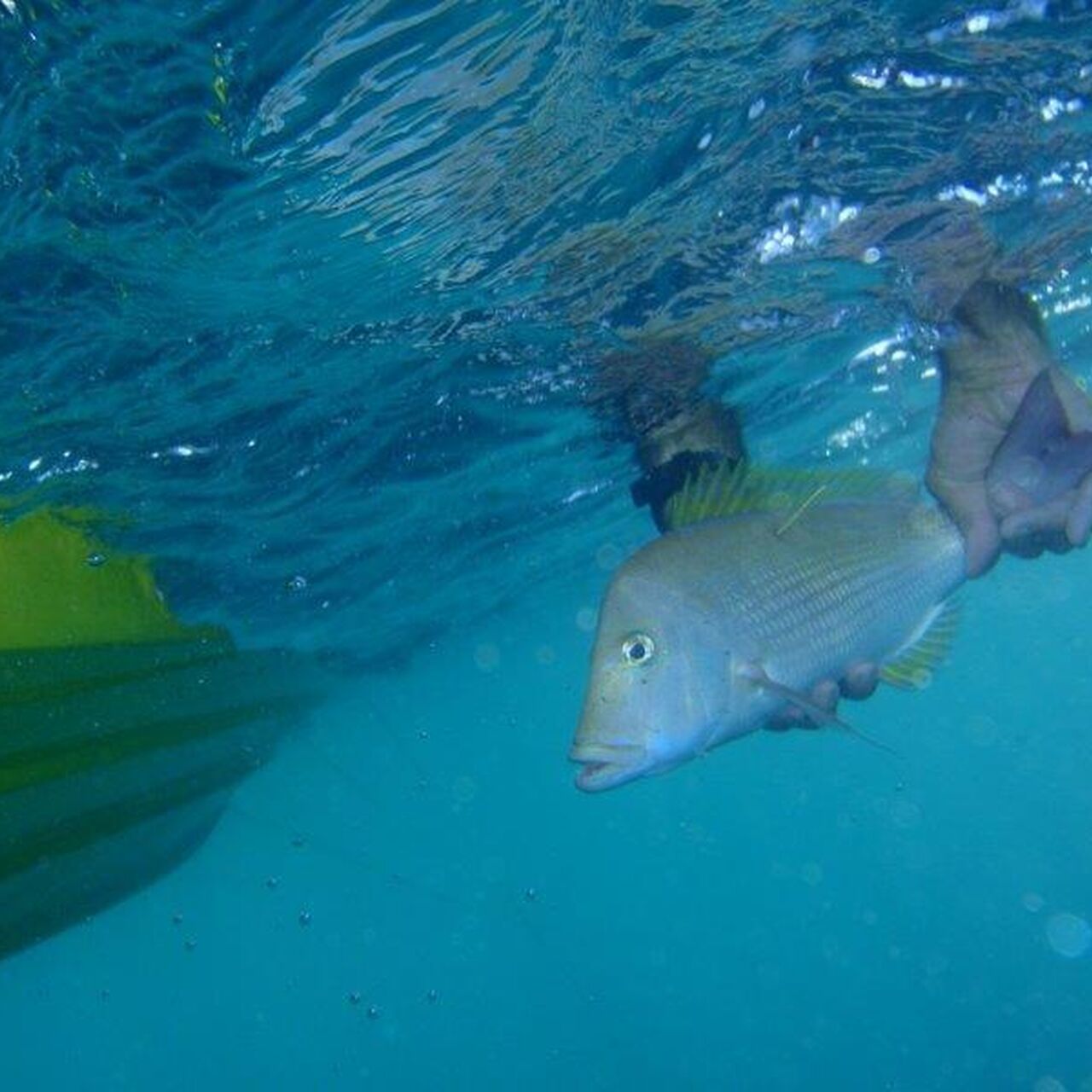 7a8ab87ec176ec4a5ba17ec8458bcda2