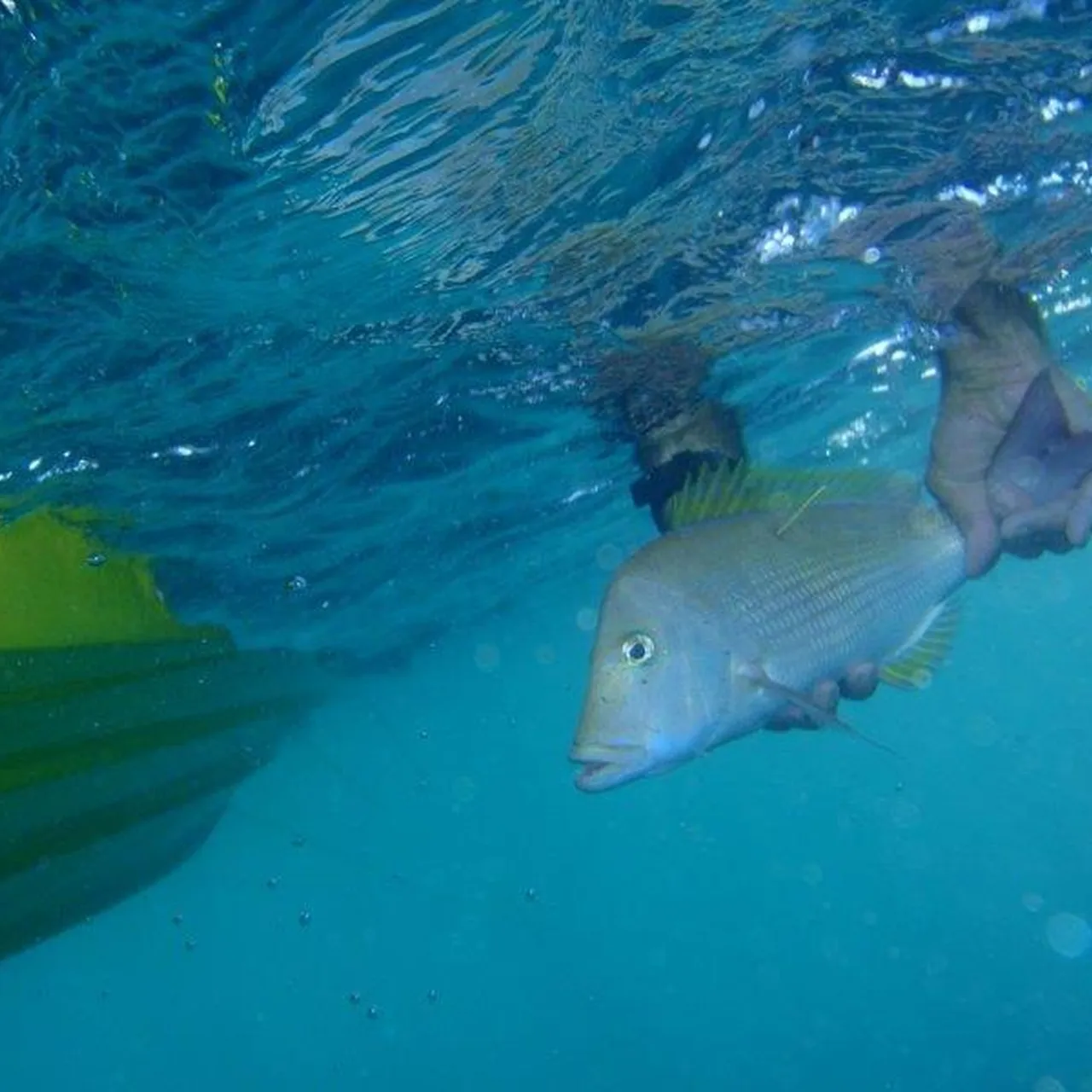 7a8ab87ec176ec4a5ba17ec8458bcda2