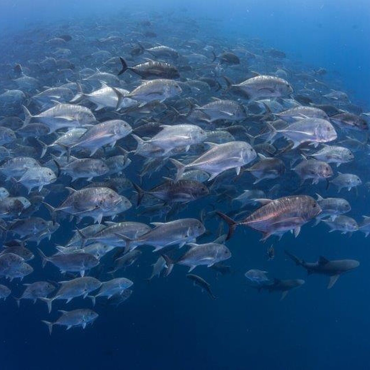 B4db364604e05e3f7a3add397032c6cb