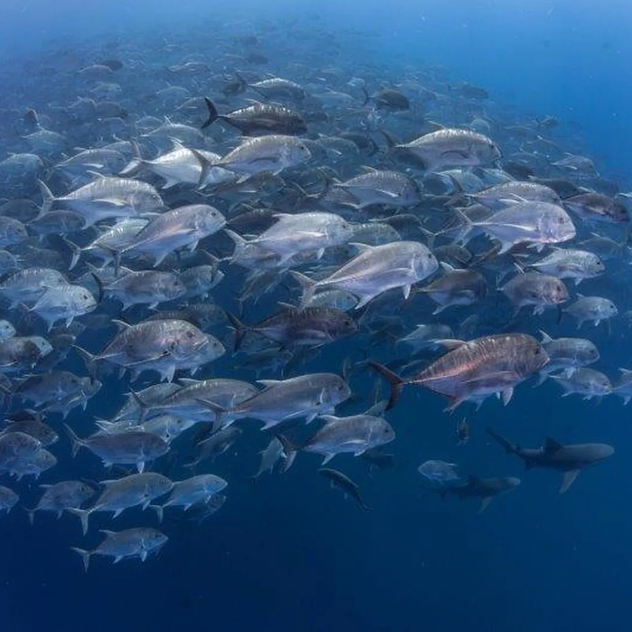 B4db364604e05e3f7a3add397032c6cb