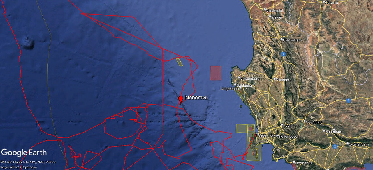 Tracking our turtles: Nobomvu's explorations